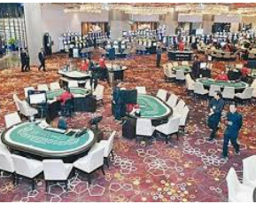 彩777ccapp最新版下载电脑免费版